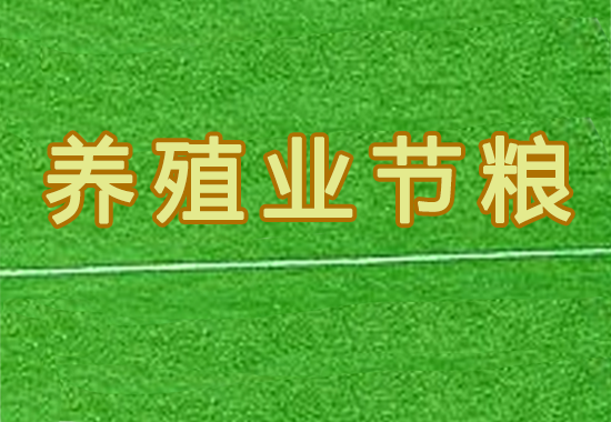 养殖业节粮行动