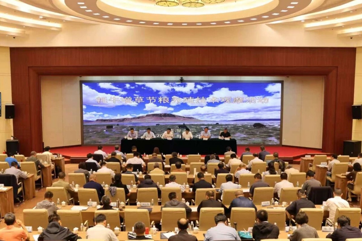 微信图片_2025-08-29_153601_749